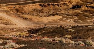 德保罗社媒庆祝胜利：我们晋级了！但我们不会停下脚步